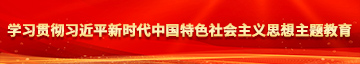 美女槽逼学习贯彻习近平新时代中国特色社会主义思想主题教育